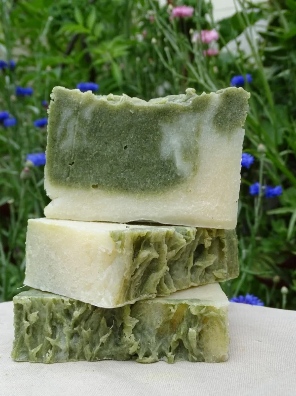 Terre et Potions - Savon senteur Forêt